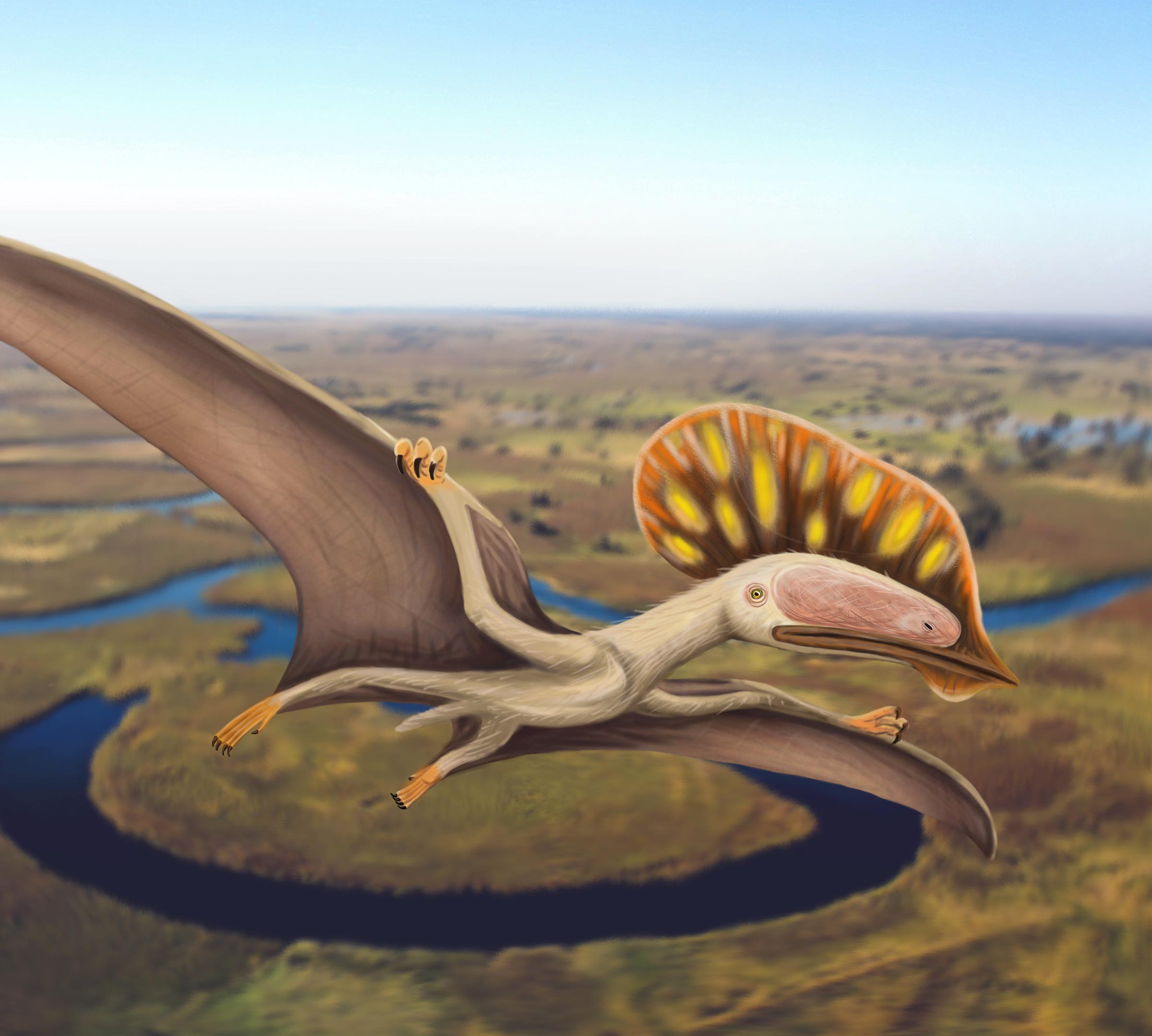 Are Pterodactyls Dinosaurs? - WorldAtlas