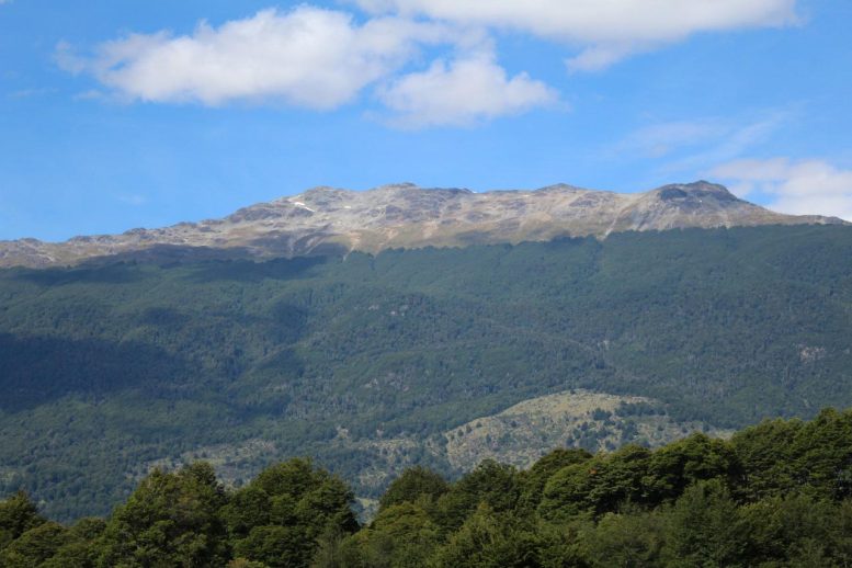 Ragi Liar Pegunungan Patagonia