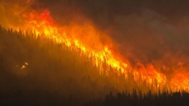 Canada’s 2023 Wildfire Season: An Unprecedented Environmental Catastrophe