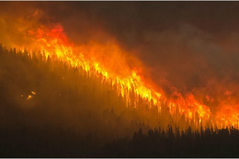 Wildfire Photograph