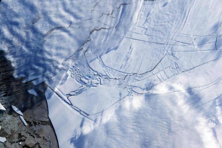 Newswise: Wilkins-Ice-Shelf-777x518.jpg