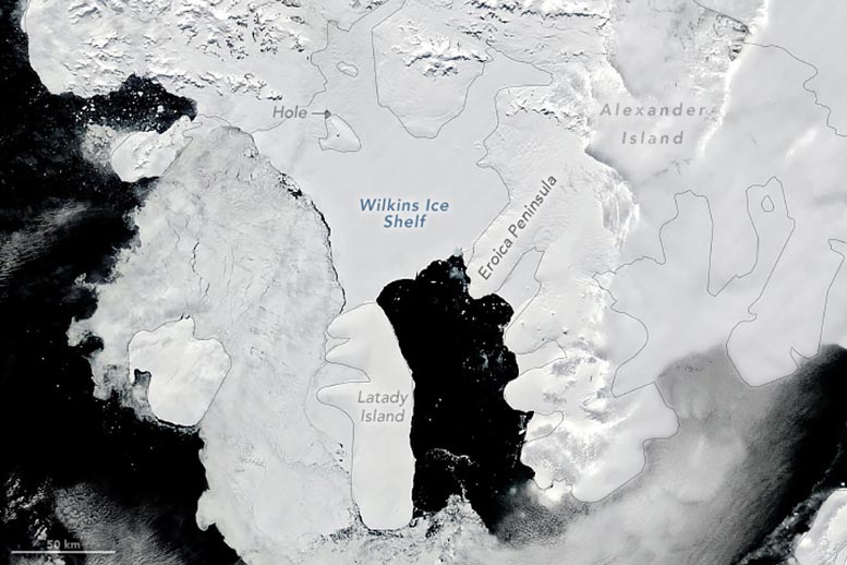 Wilkins Ice Shelf January 2024 Annotated