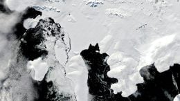 Wilkins Ice Shelf March 2024