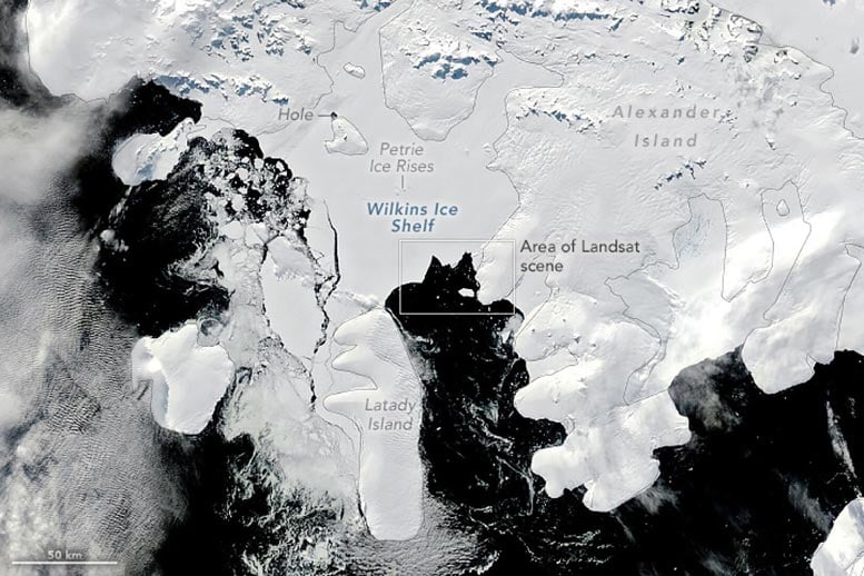 Wilkins Ice Shelf March 2024 Annotated