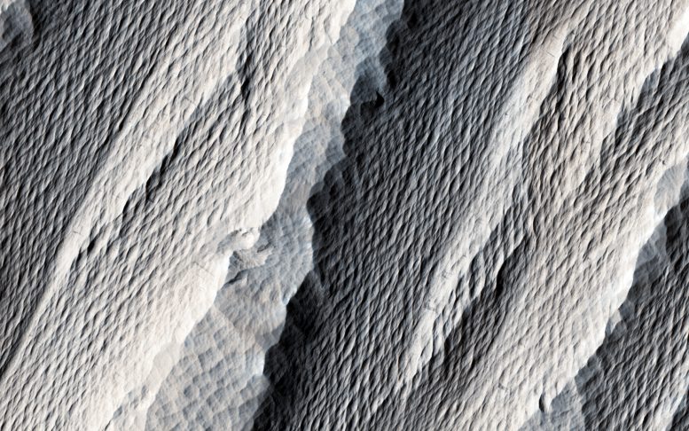 Wind Carved Rock on Mars