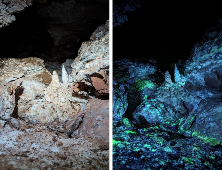 Wind Cave Formations Reveal Hidden Fluorescence Under UV Light