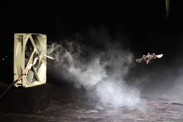 Wind Tested Robot Performing Aerial Somersaults