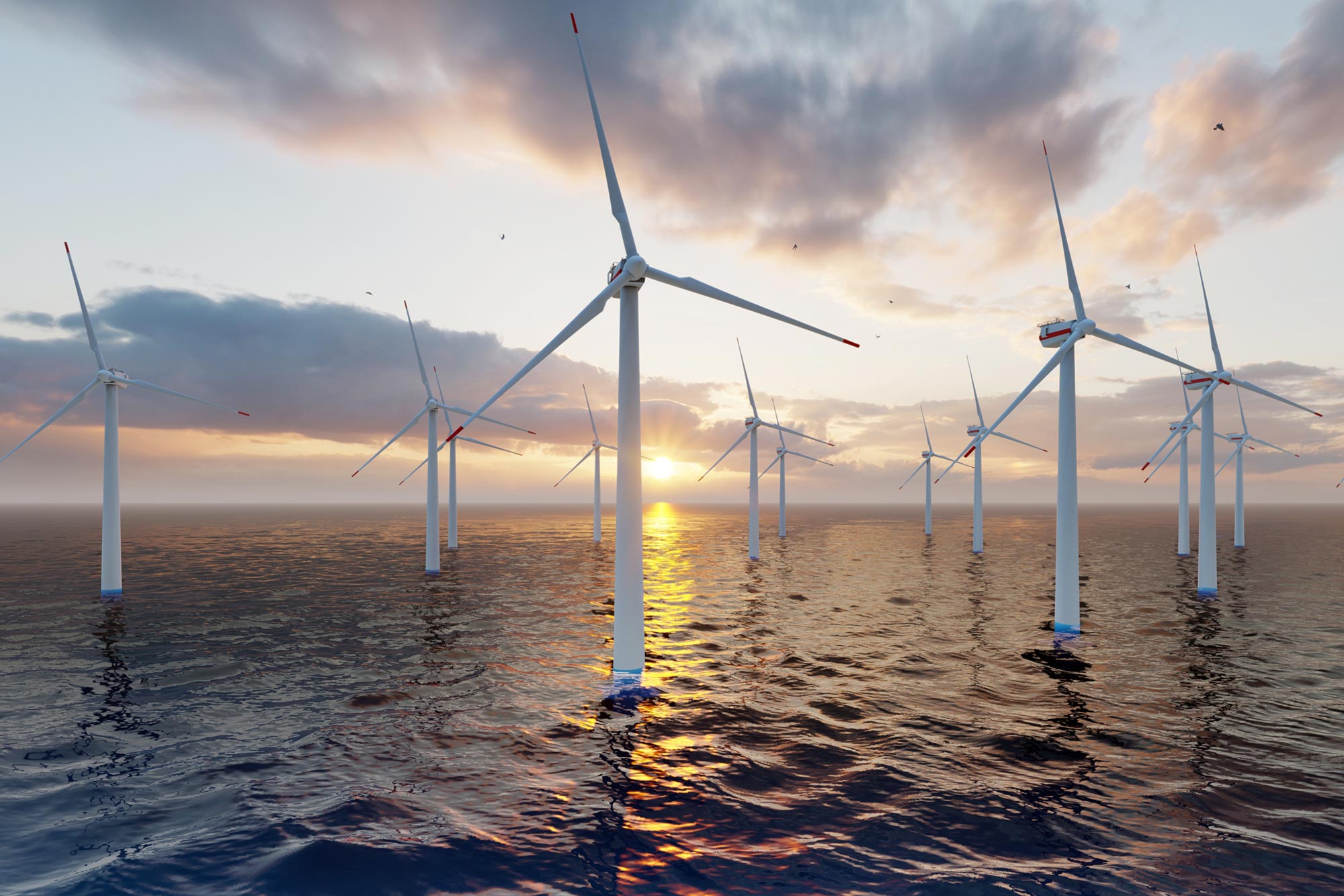 Wind Farms Are Disrupting Ocean Currents, Moving Millions of Tons of Mud Each Year