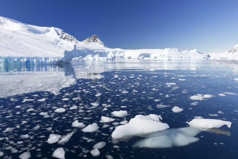 Winter Sea Ice Melts in Summer