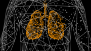 Wireframe Human Lungs