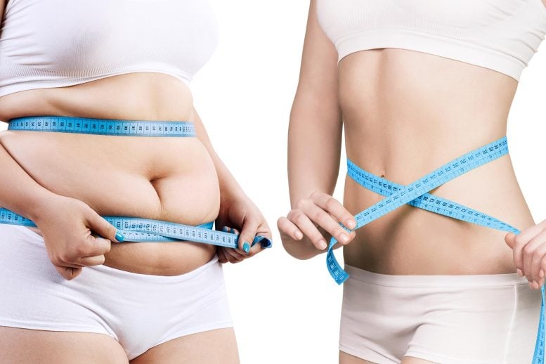 Woman Body Before After Weight Loss