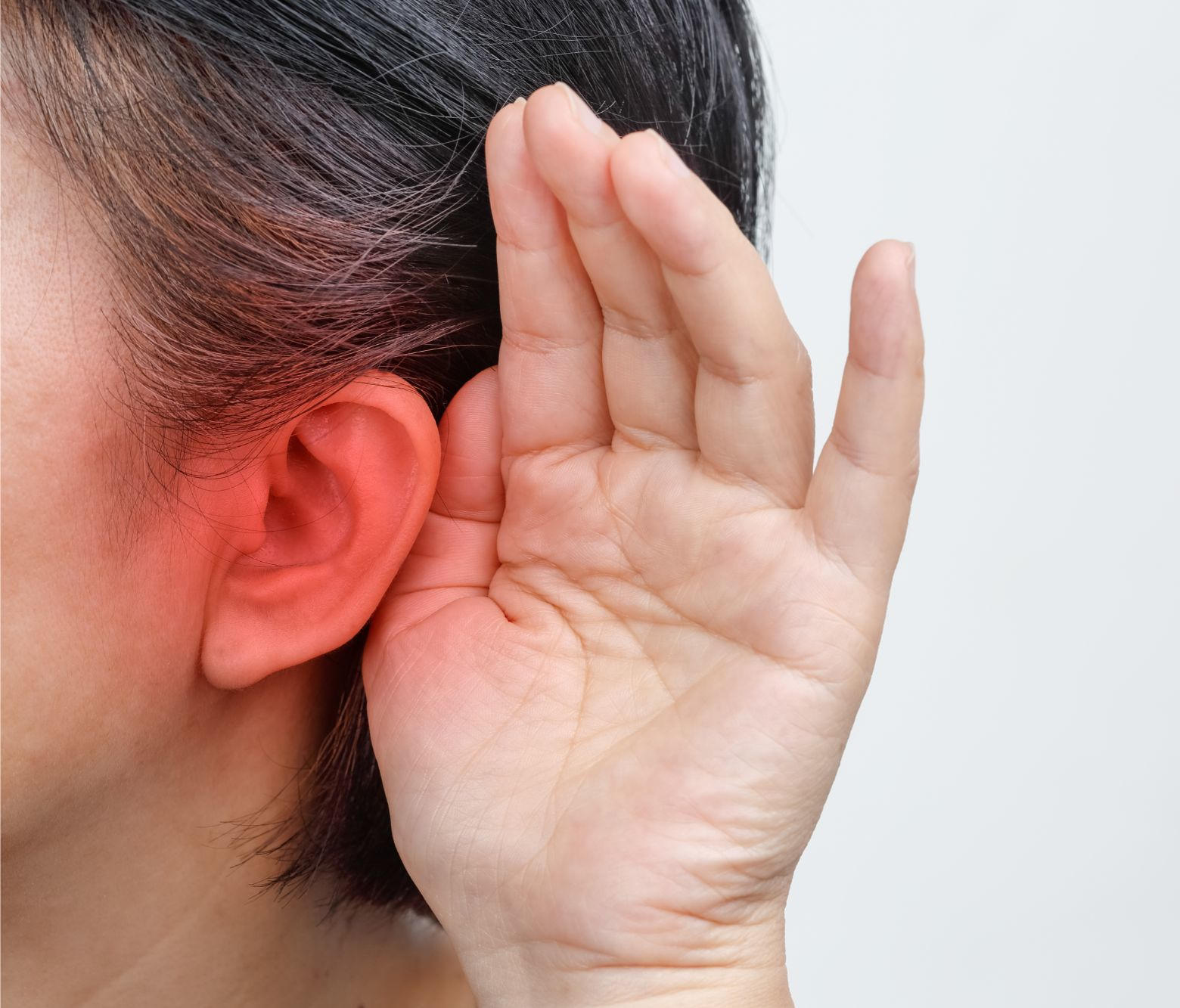 New Study Casts Doubt on Old Ideas of How Hearing Works thumbnail