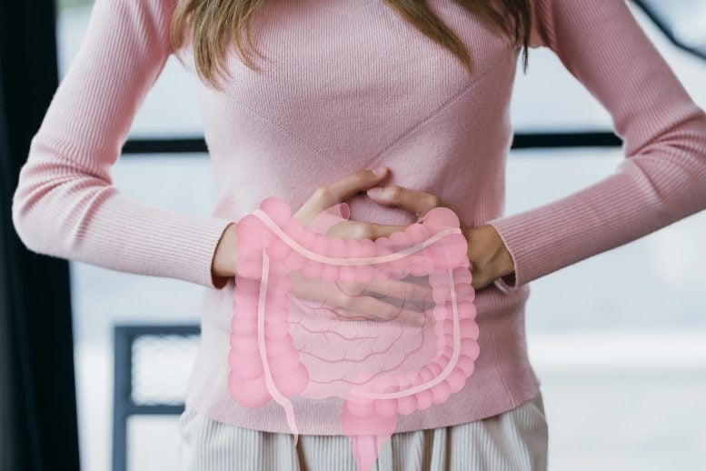 The Unexpected Gut Health Risk of Cutting Out Sugar