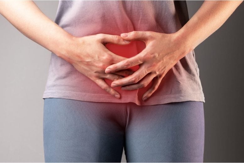 Woman Urinary Tract Infection