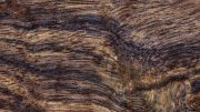 Wood Texture Detail