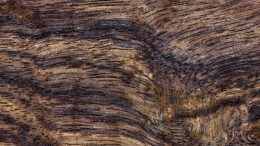 Wood Texture Detail
