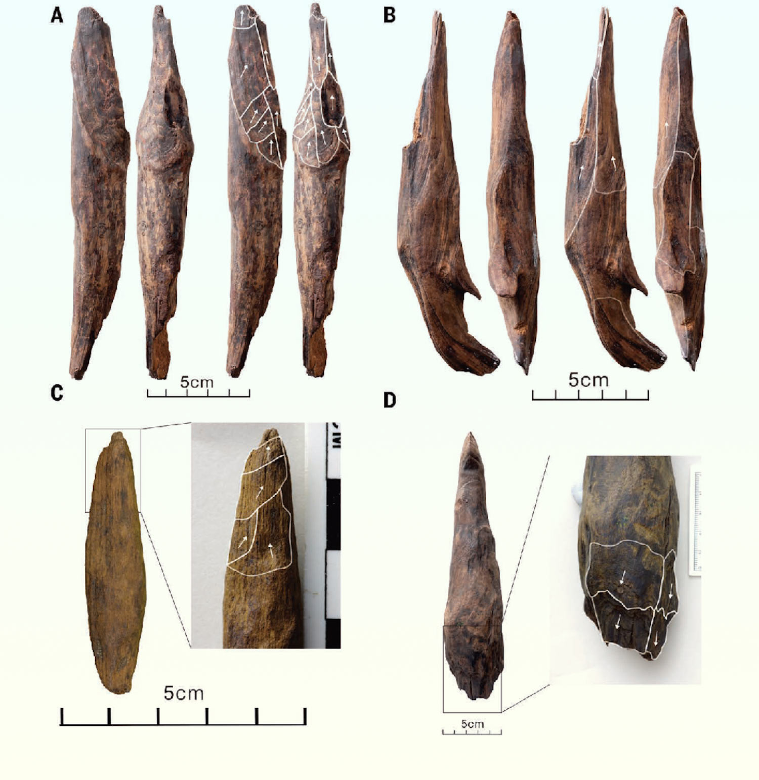 Glory zavatrash leak