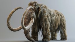 Woolly Mammoth 3D Reconstraction Art Concept