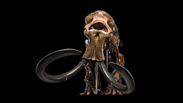 The Megafauna Mystery: Scientists Discover New Clues to What Happened to North America’s Largest Animals