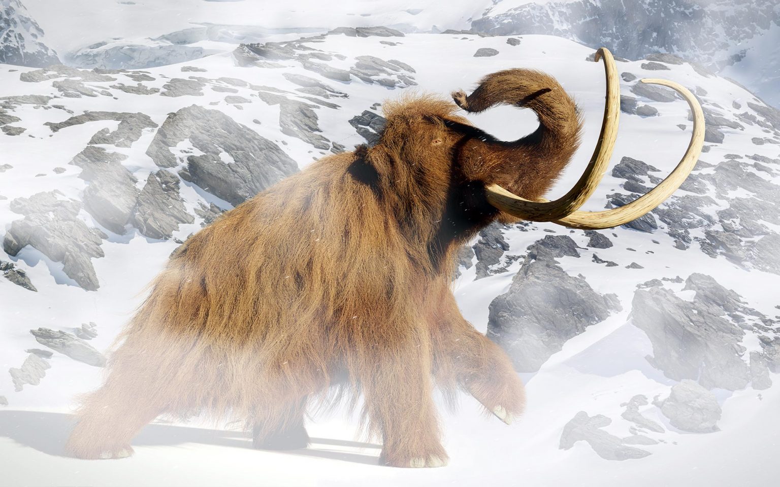 Study Resurrects Woolly Mammoth DNA to Explore the Cause of Their