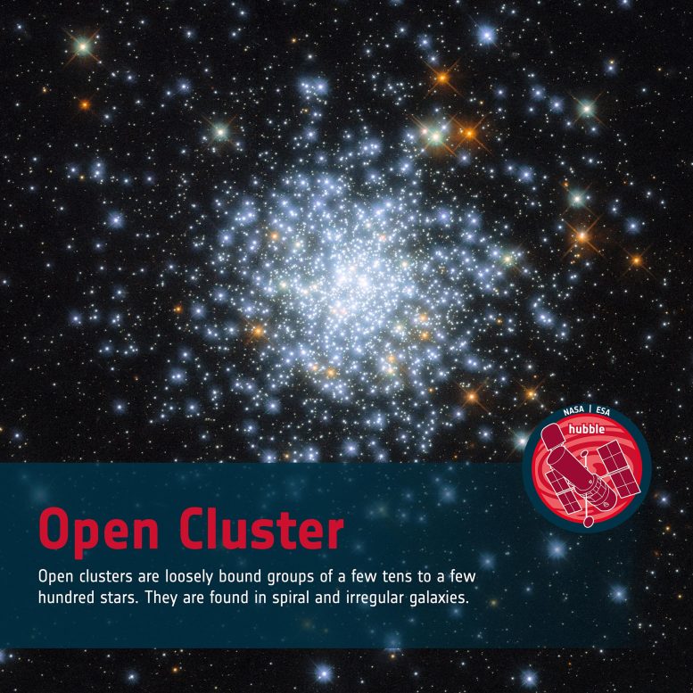 Word Bank Open Cluster