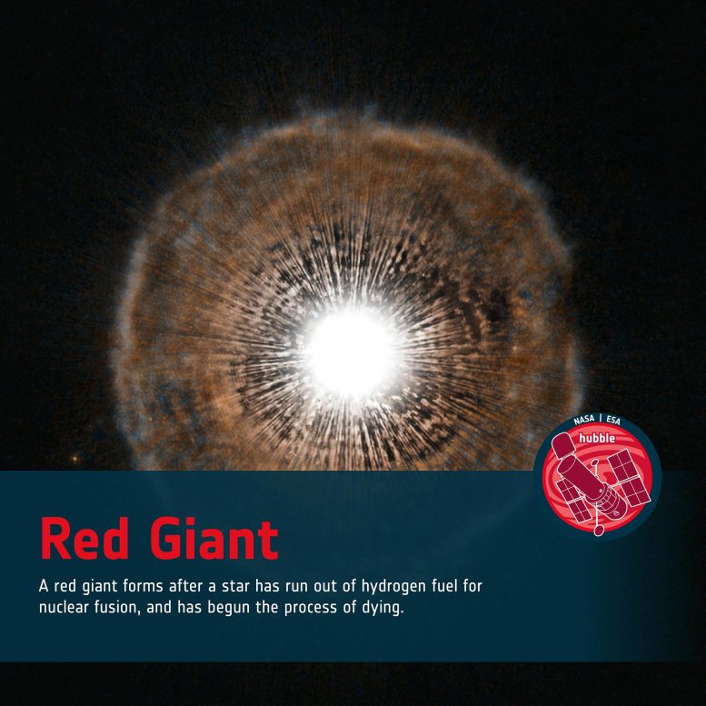 Word Bank Red Giant