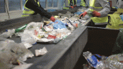 Workers Sorting Plastic Waste