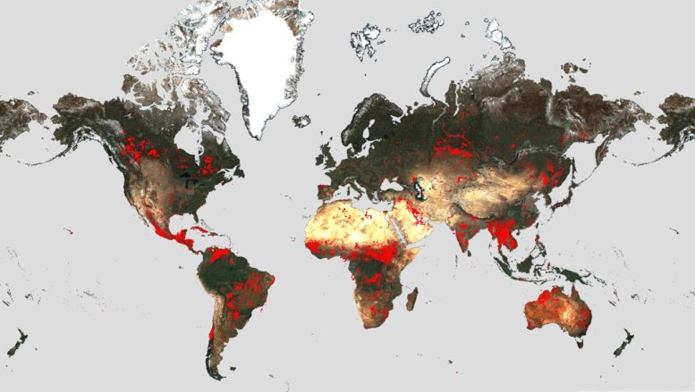 Worldwide Fires ESA World Fire Atlas
