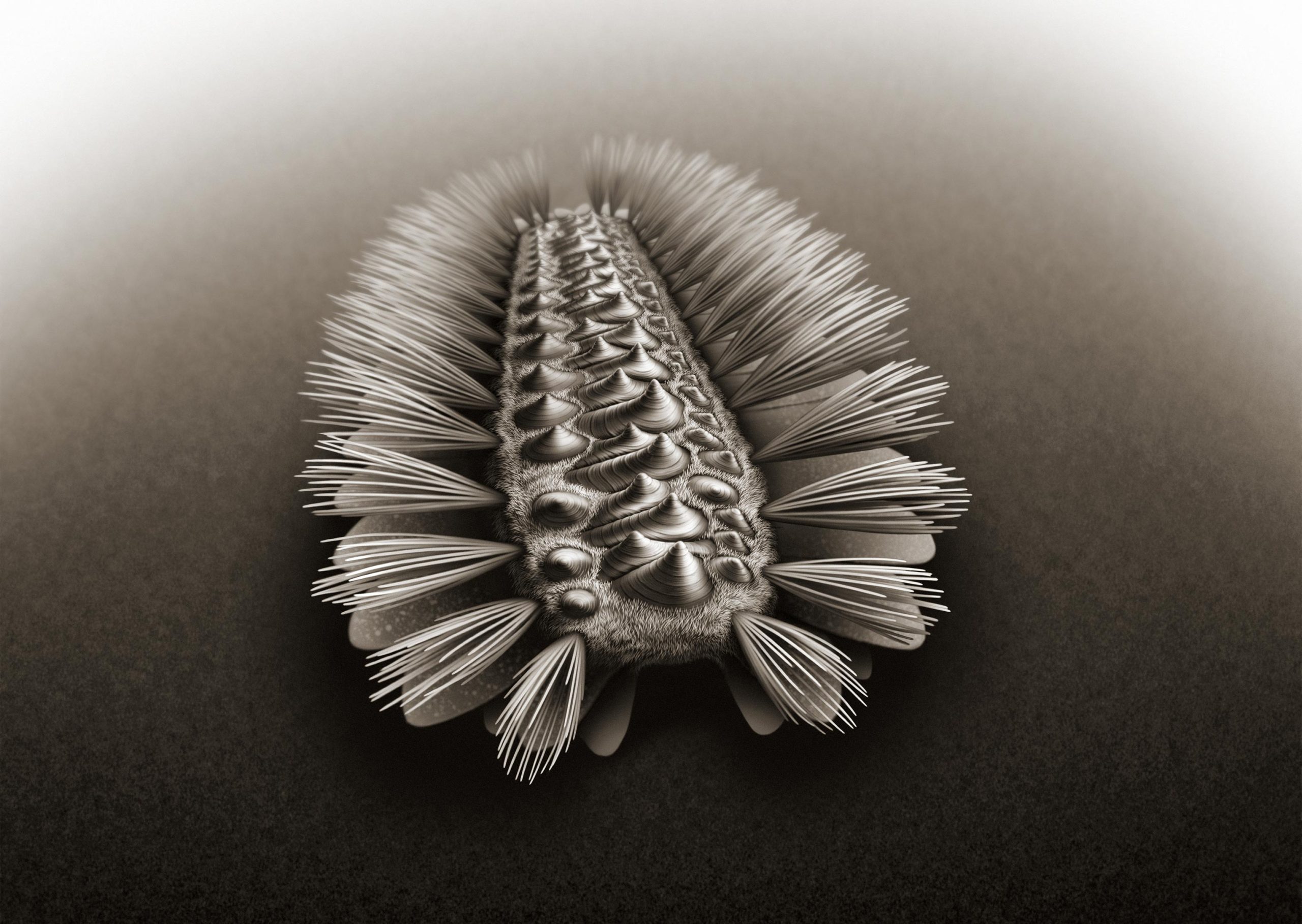 Ancestry of Three Major Animal Groups Revealed by 518-Million-Year-Old Armored Worm thumbnail