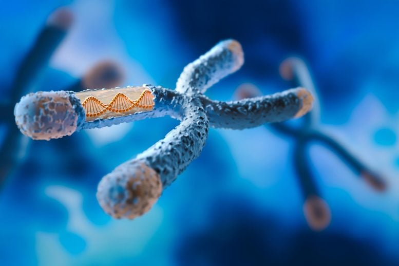 Tiny Genetic Change Turns Female Mice Into Males, Scientists Discover