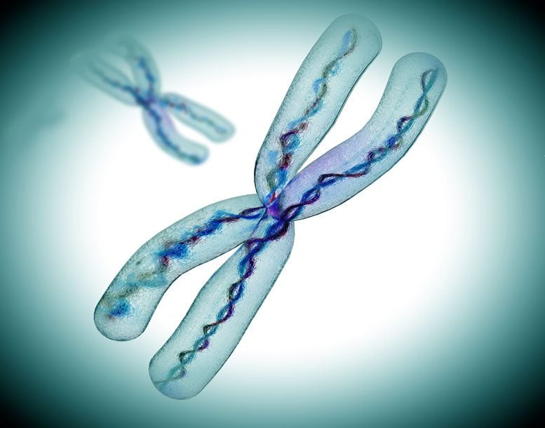 X Chromosome Reactivation Could Treat Rett Syndrome