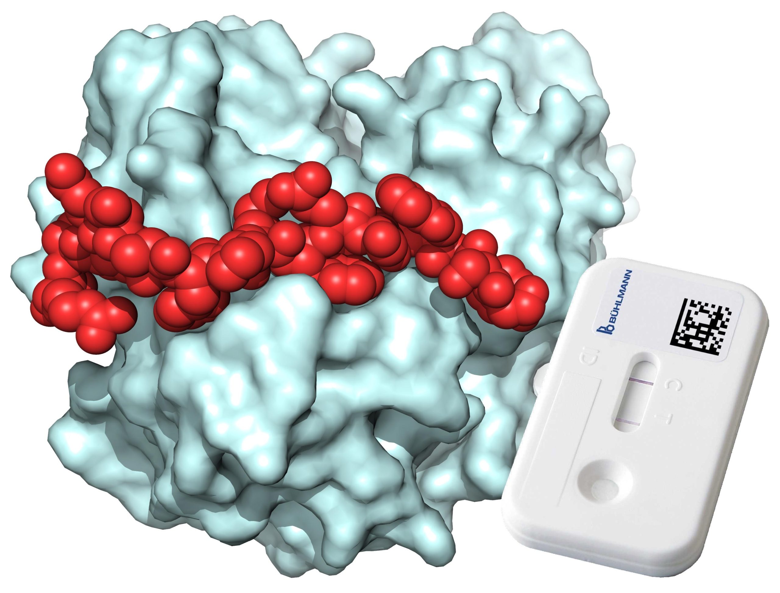 Smith Antibodies 0.2 Ai:  A Game Changer In Disease Detection? - p6sklqd