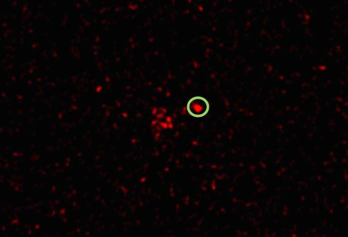 X-Rays Detected from the Supernova 2012ca 