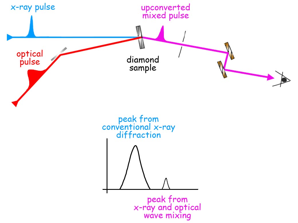 Probing the Effects of Light at the Atomic Scale