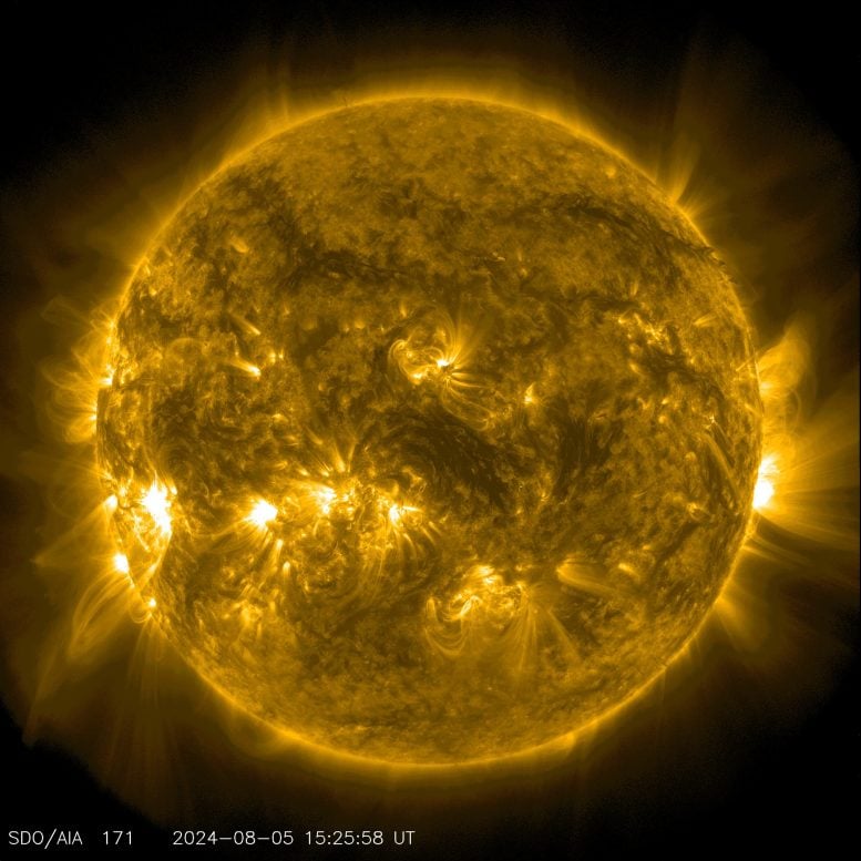 X1.1 Solar Flare August 2024