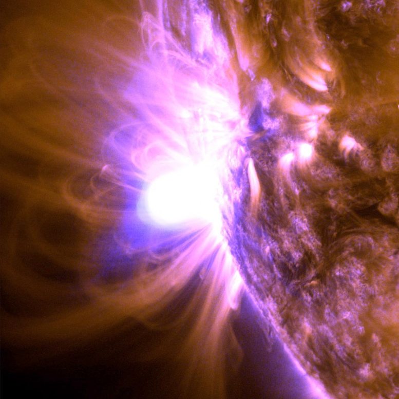 X1.2 Solar Flare January 2023 Close Up