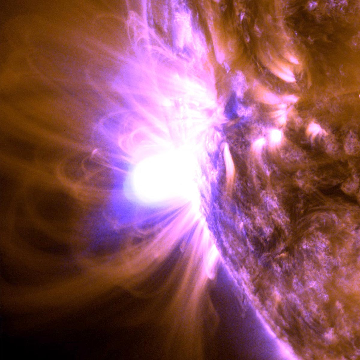 Photo of Une puissante éruption solaire de classe X sortant du Soleil – capturée par le Solar Dynamics Observatory de la NASA