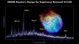 XRISM Resolve Supernova Remnant N132D