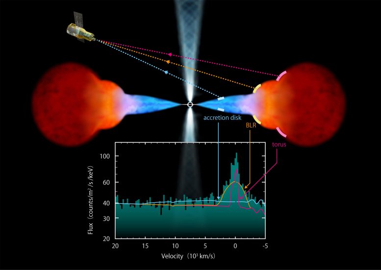 XRISM Supermassive Black Hole Matter Distribution