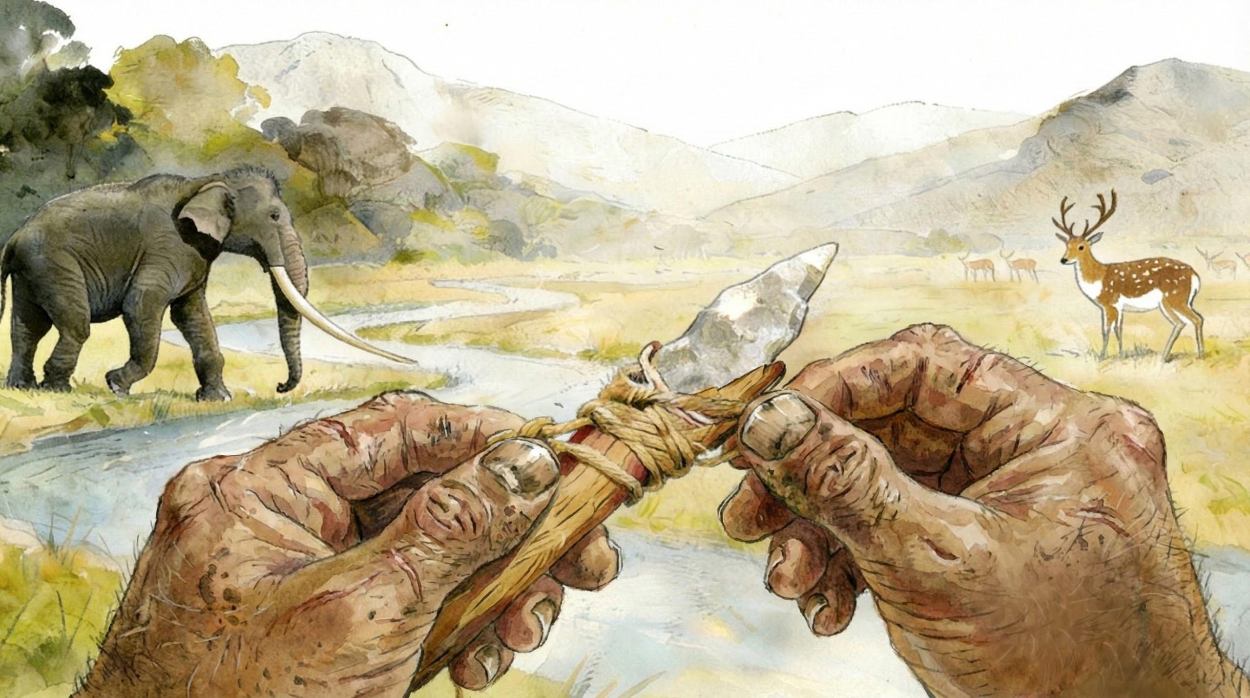 These 160,000-Year-Old Tools Are Rewriting Human History