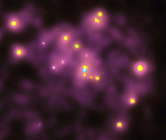 Xrays from Other Galaxies Could Emanate from Dark Matter