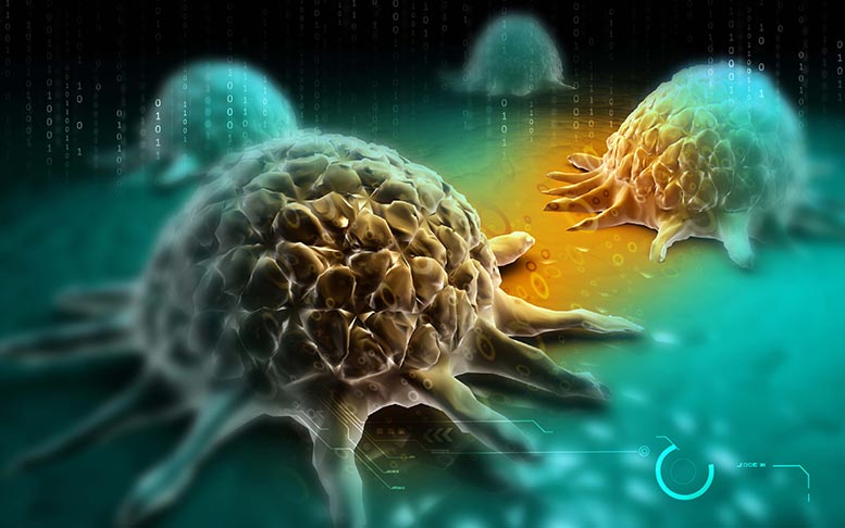 Yale Study Provides New Clue to How Cancer Cells Spread