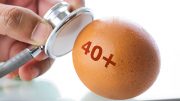 Yale Researchers Identify the Molecular Pathways Involved in the Aging of Human Eggs