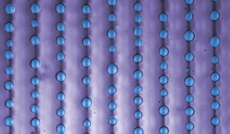 Yale Scientists Pattern Water Droplets Using Durotaxis