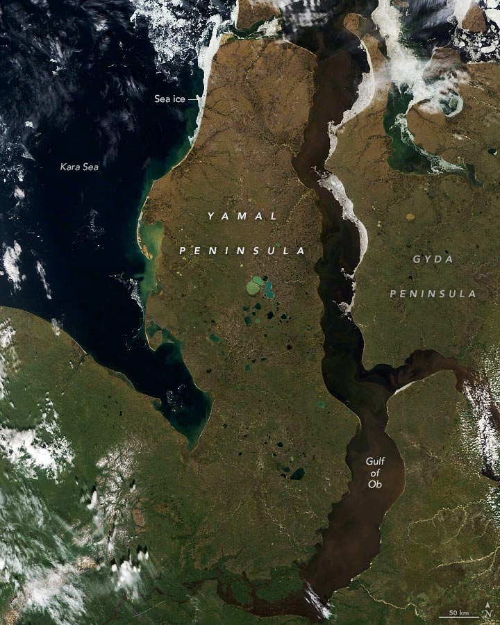 Yamal Peninsula 2021 Annotated