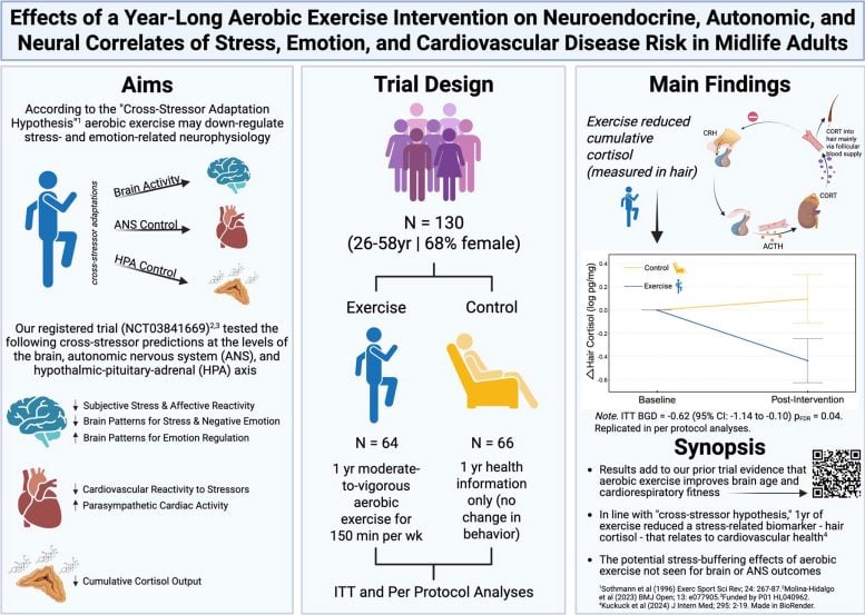 Year Long Aerobic Exercise Effects on Stress and Heart Health