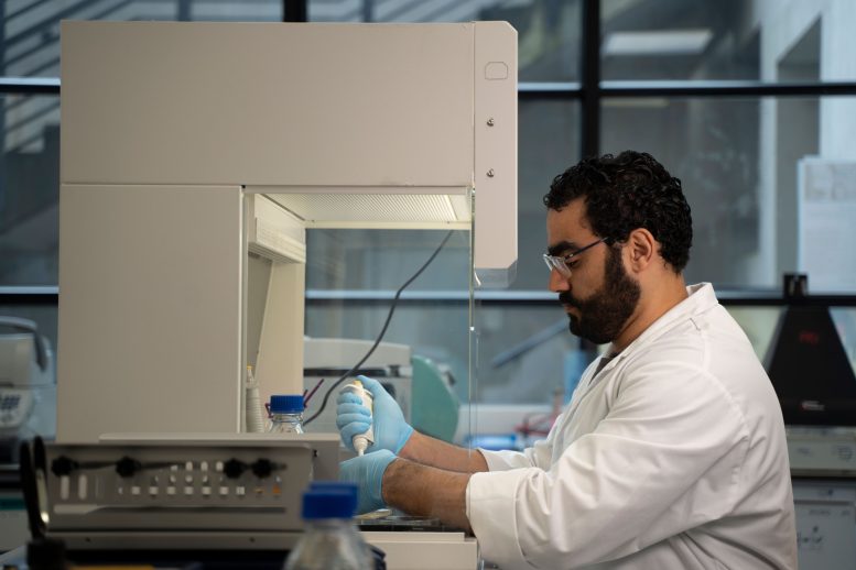 Yeast in Sterile Laboratory Conditions