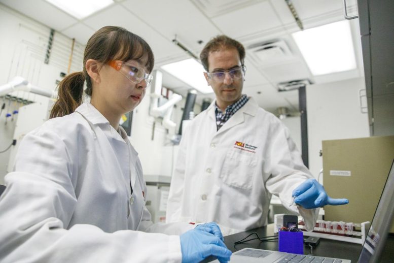 Yeji Choi(left) and Sina Mirjalili Work in the Lab