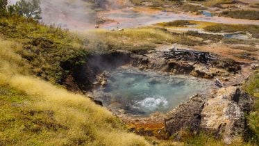 Unusual New Life Forms Discovered in Yellowstone Offer Clues to Alien Life