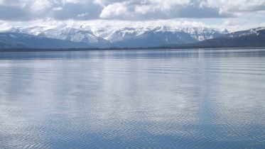 Defying Climate Change: Yellowstone’s Lake Ice Isn’t Melting Like Others